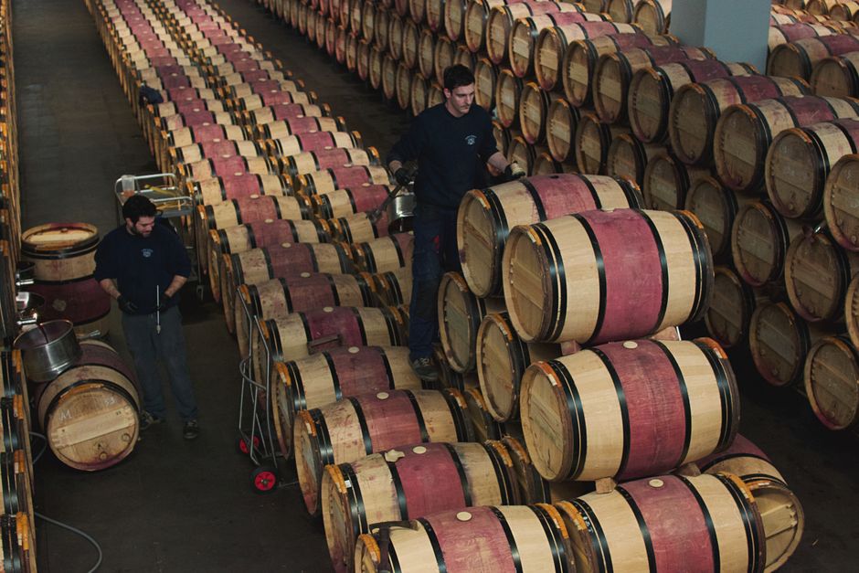 Vinproduksjon: En omfattende guide til kunsten og vitenskapen bak vin